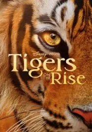 Tigers on the Rise (2024)