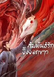 White Fox (2023) สัมพันธ์รักจิ้งจอกขาว